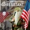 Military Garden Gnome with Guns Outdoor 11", US Army Gnomes Garden Decorations, Garden Statues Outdoor Clearance, Patriotic Gnome, Army Gnome